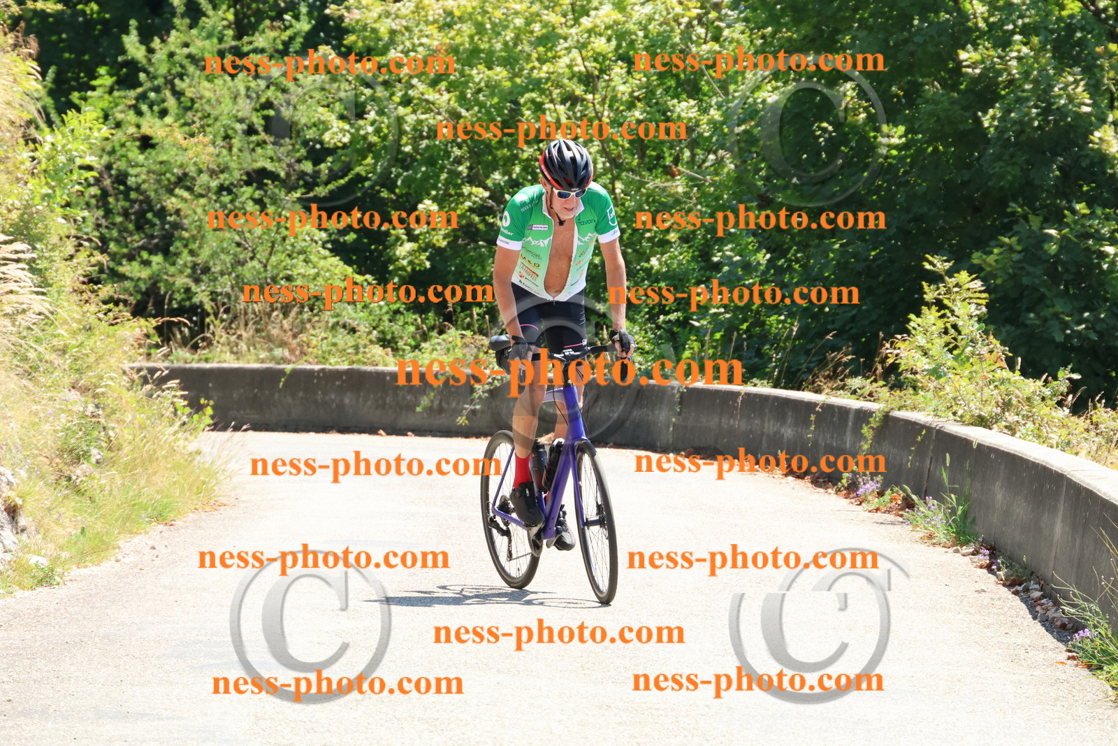 Col du Grand Colombier (316).JPG