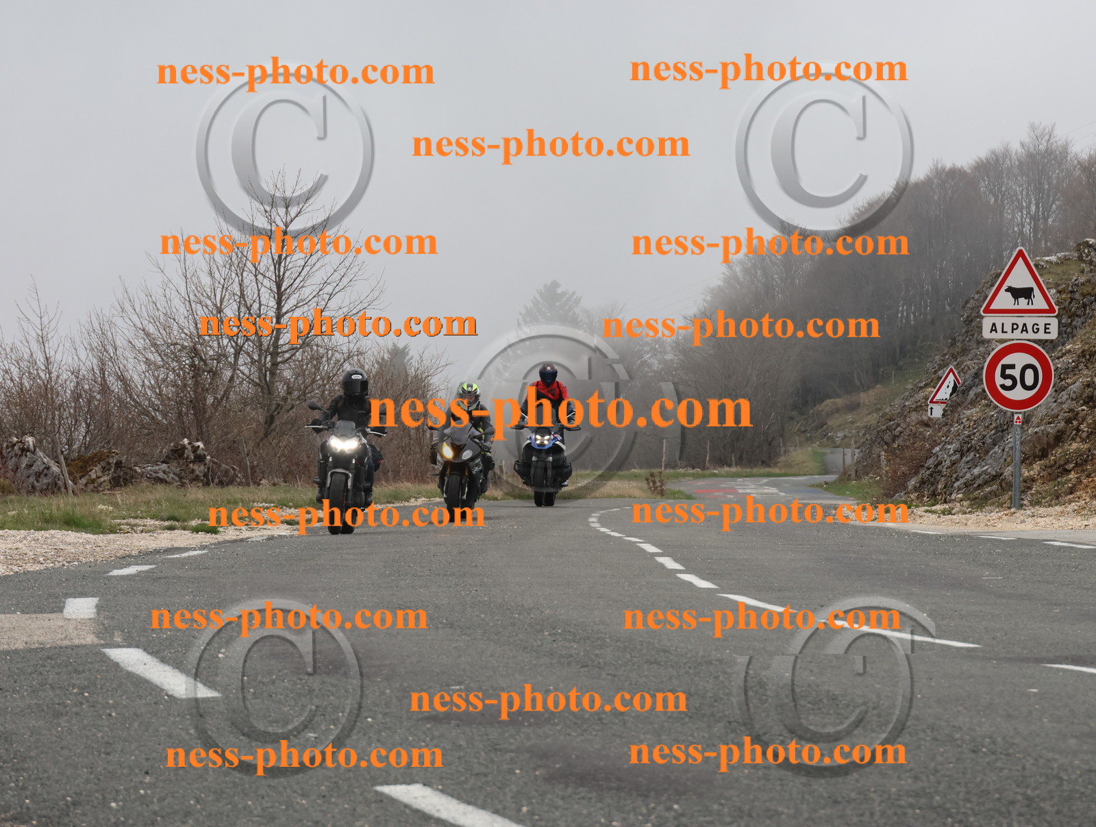 Col du Grand Colombier (9).JPG