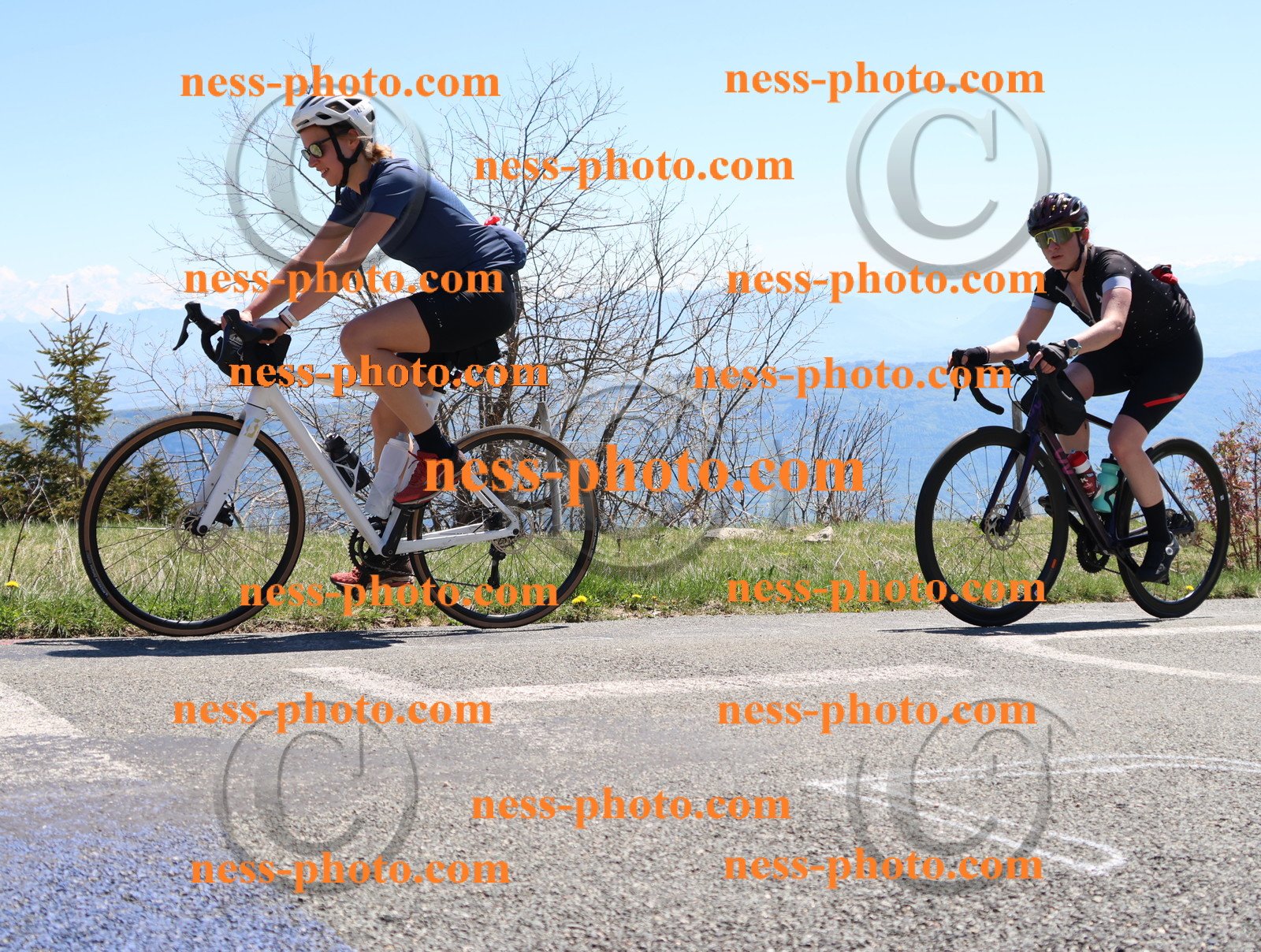 Col du Grand Colombier (412).JPG