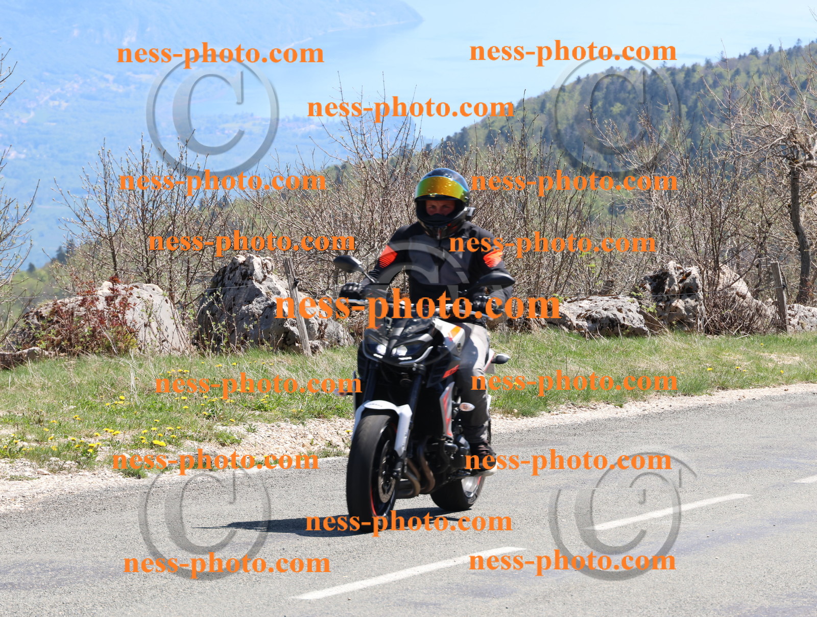 Col du Grand Colombier (193).JPG