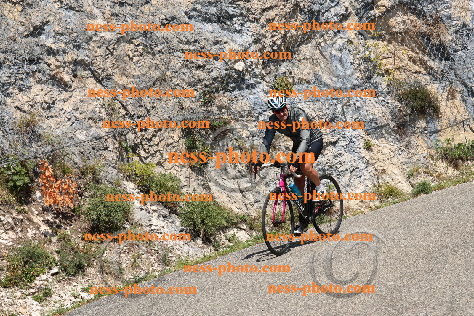 Col du Grand Colombier (485).JPG