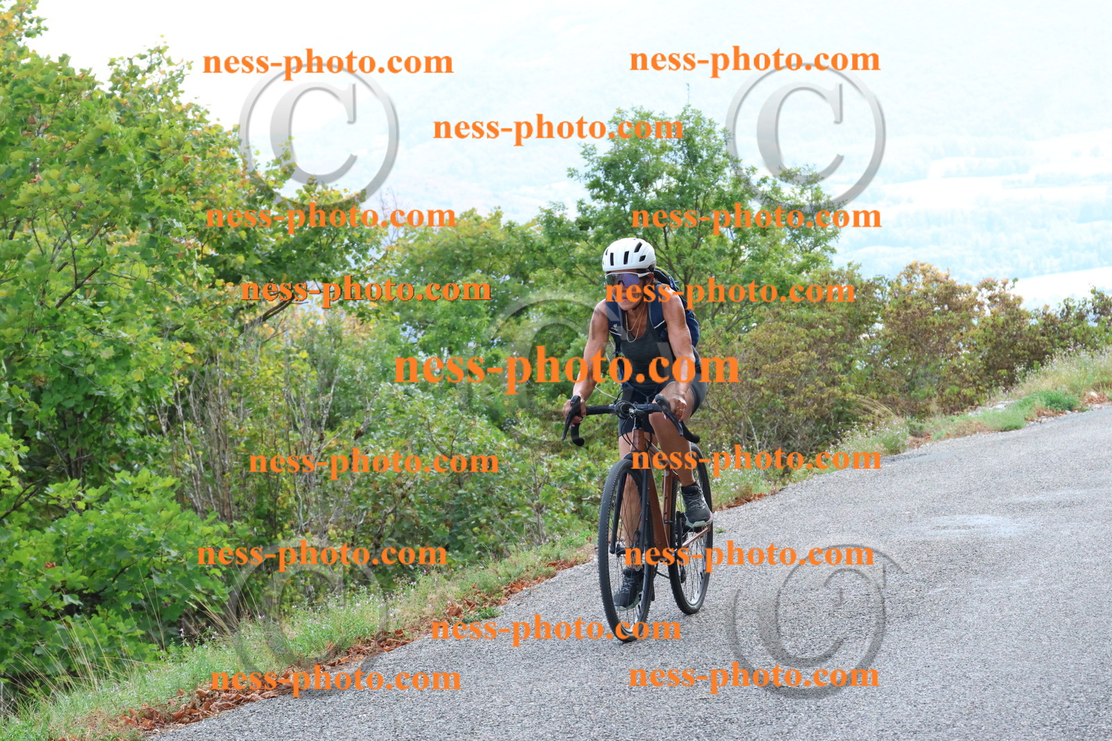 Col du Grand Colombier (727).JPG