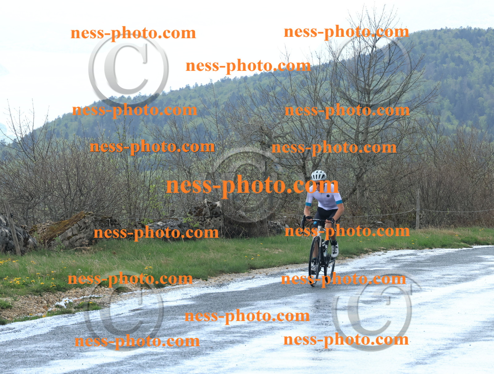 Col du Grand Colombier (240).JPG