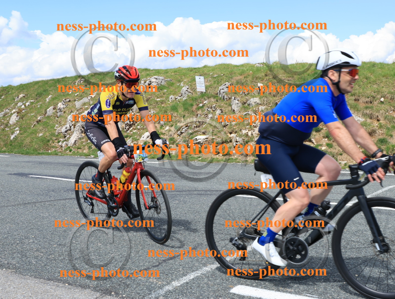 Col du Grand Colombier (2561).JPG