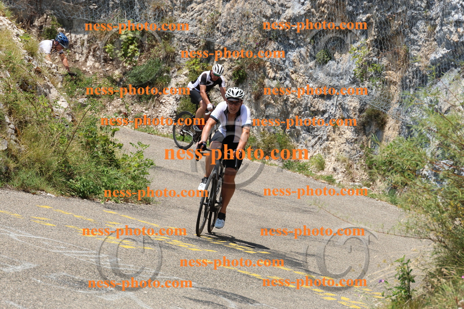 Col du Grand Colombier (477).JPG