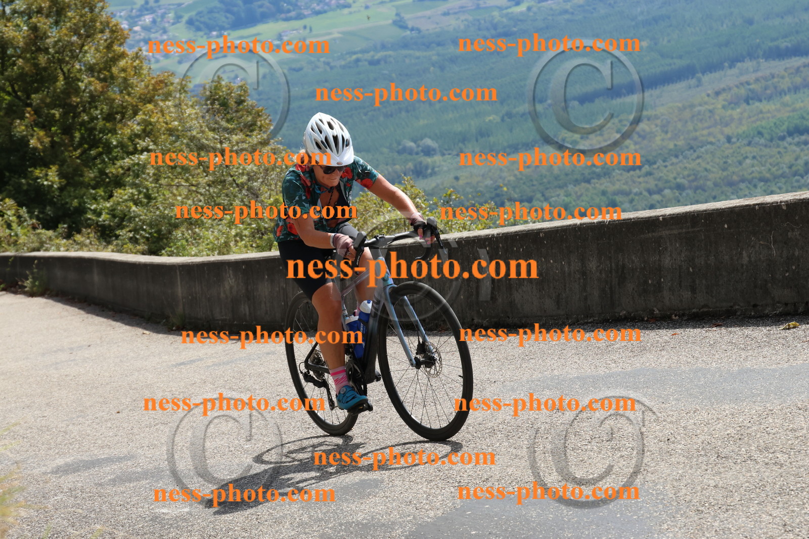 Col du Grand Colombier (490).JPG