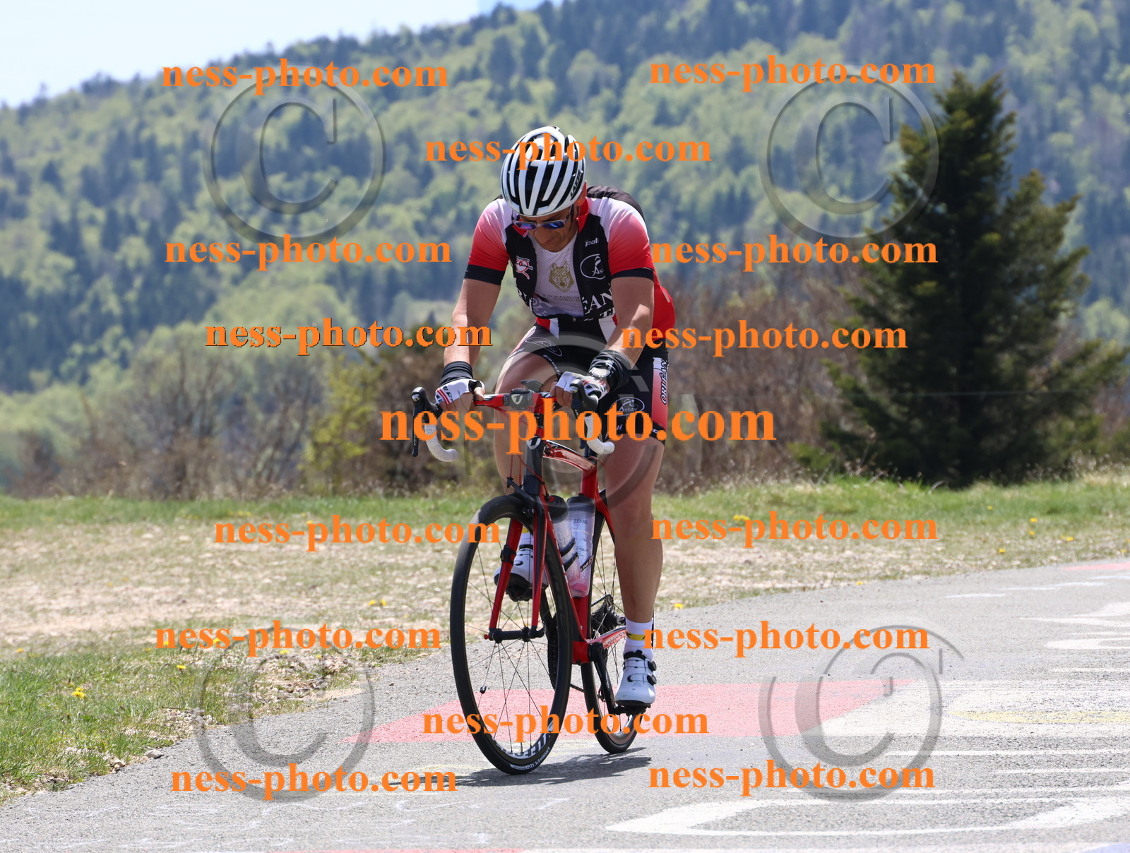 Col du Grand Colombier (516).JPG