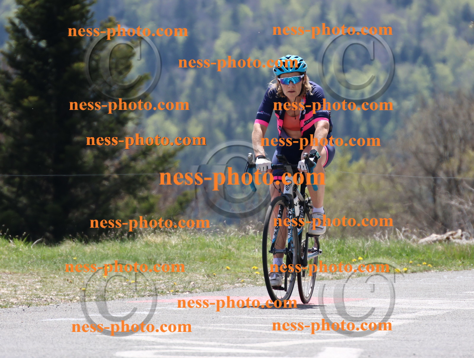 Col du Grand Colombier (582).JPG