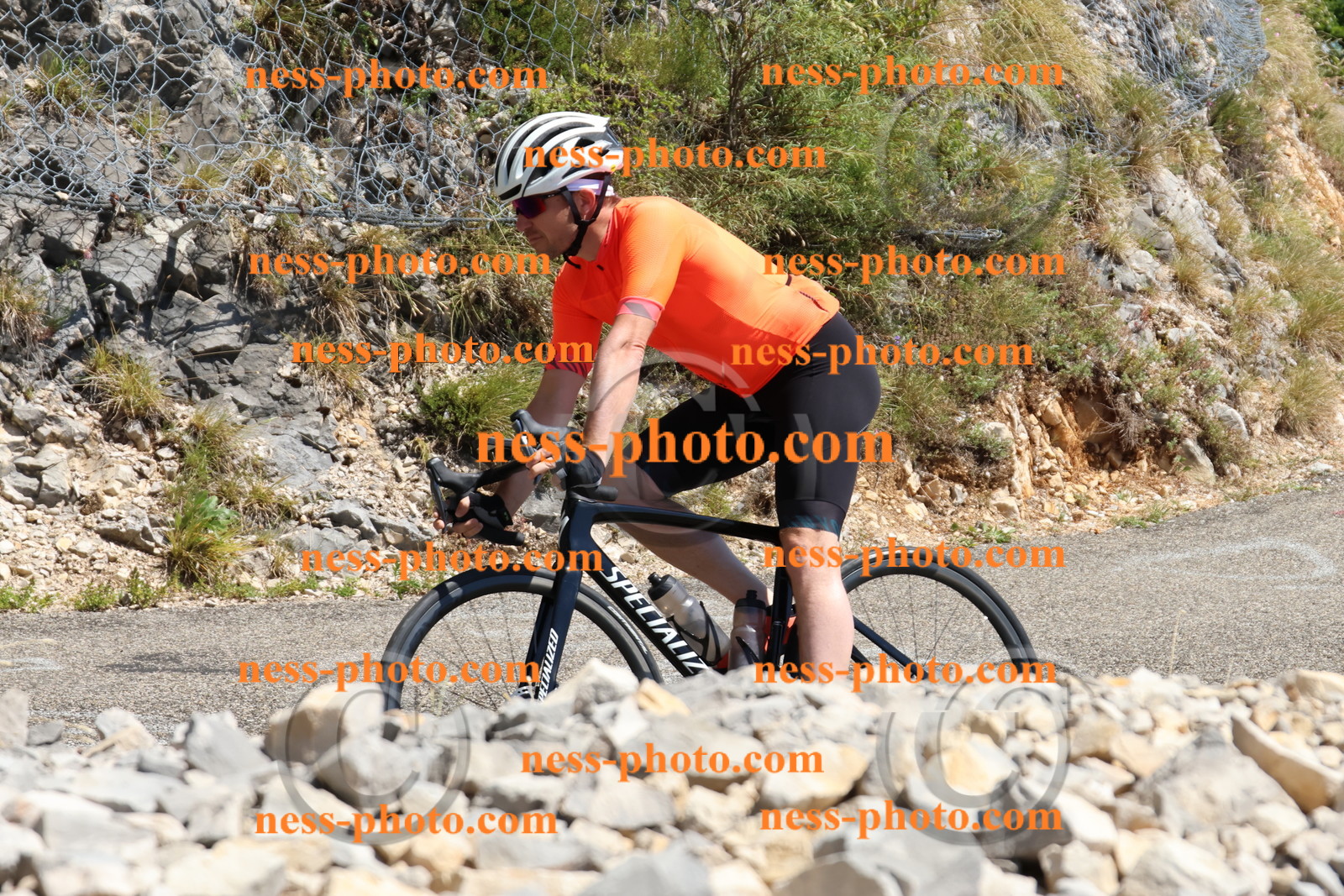 Col du Grand Colombier (529).JPG