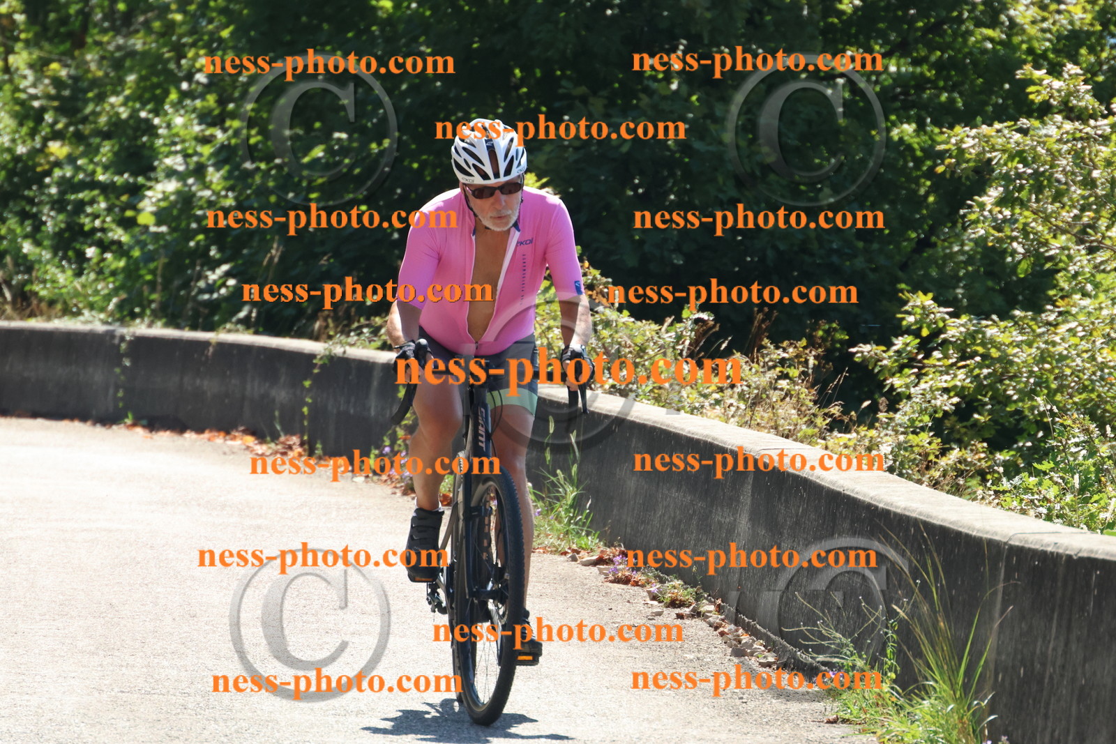 Col du Grand Colombier (93).JPG