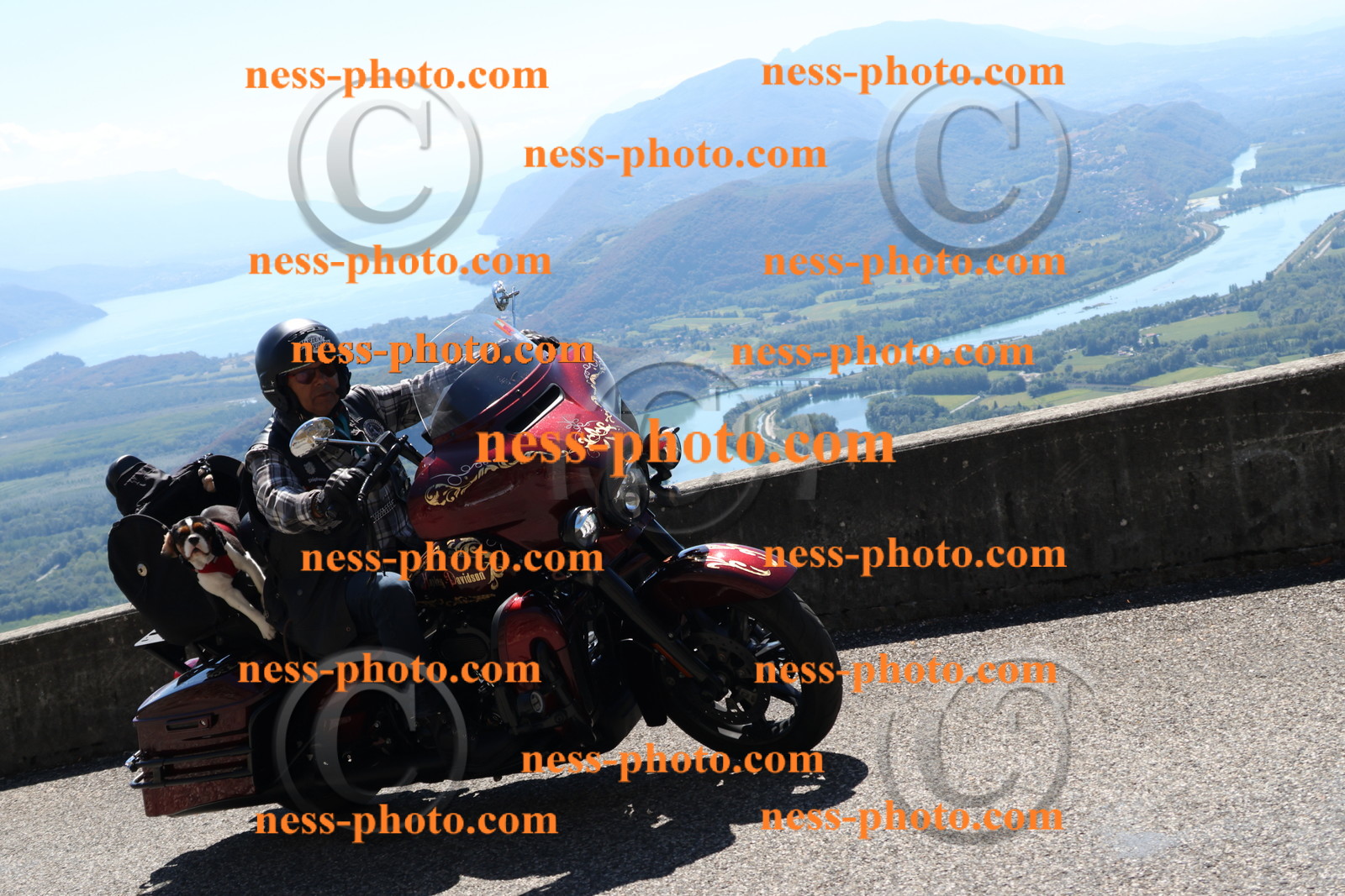 Col du Grand Colombier (266).JPG