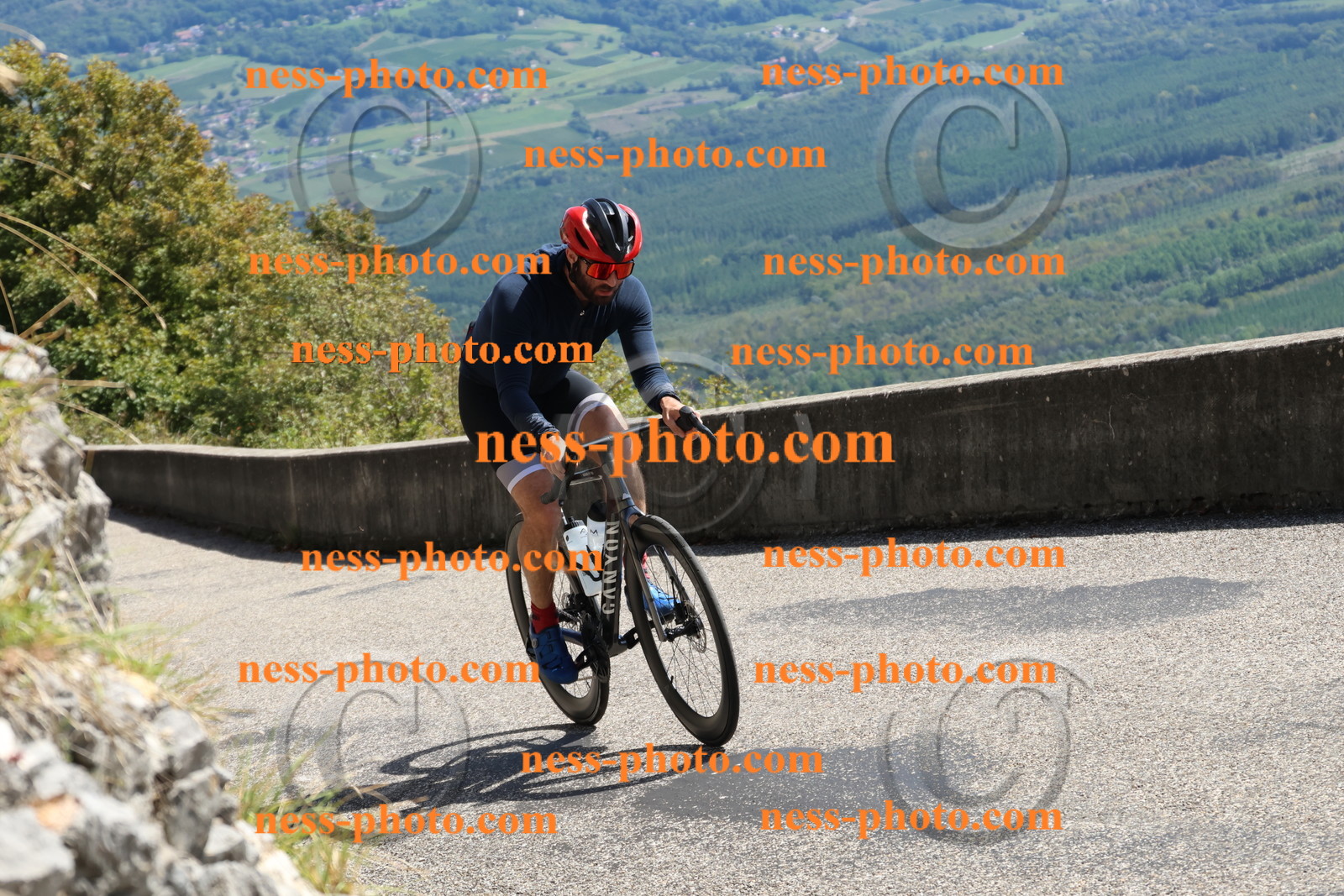 Col du Grand Colombier (705).JPG