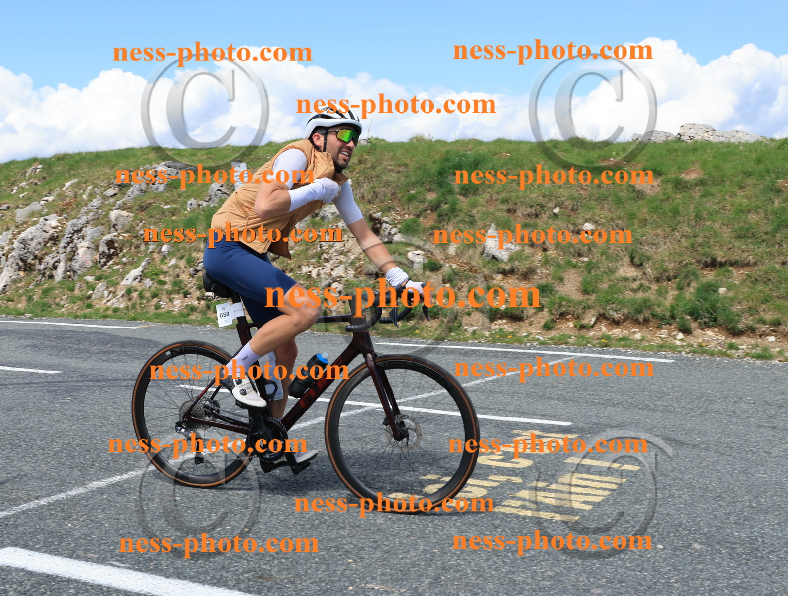 Col du Grand Colombier (2475).JPG