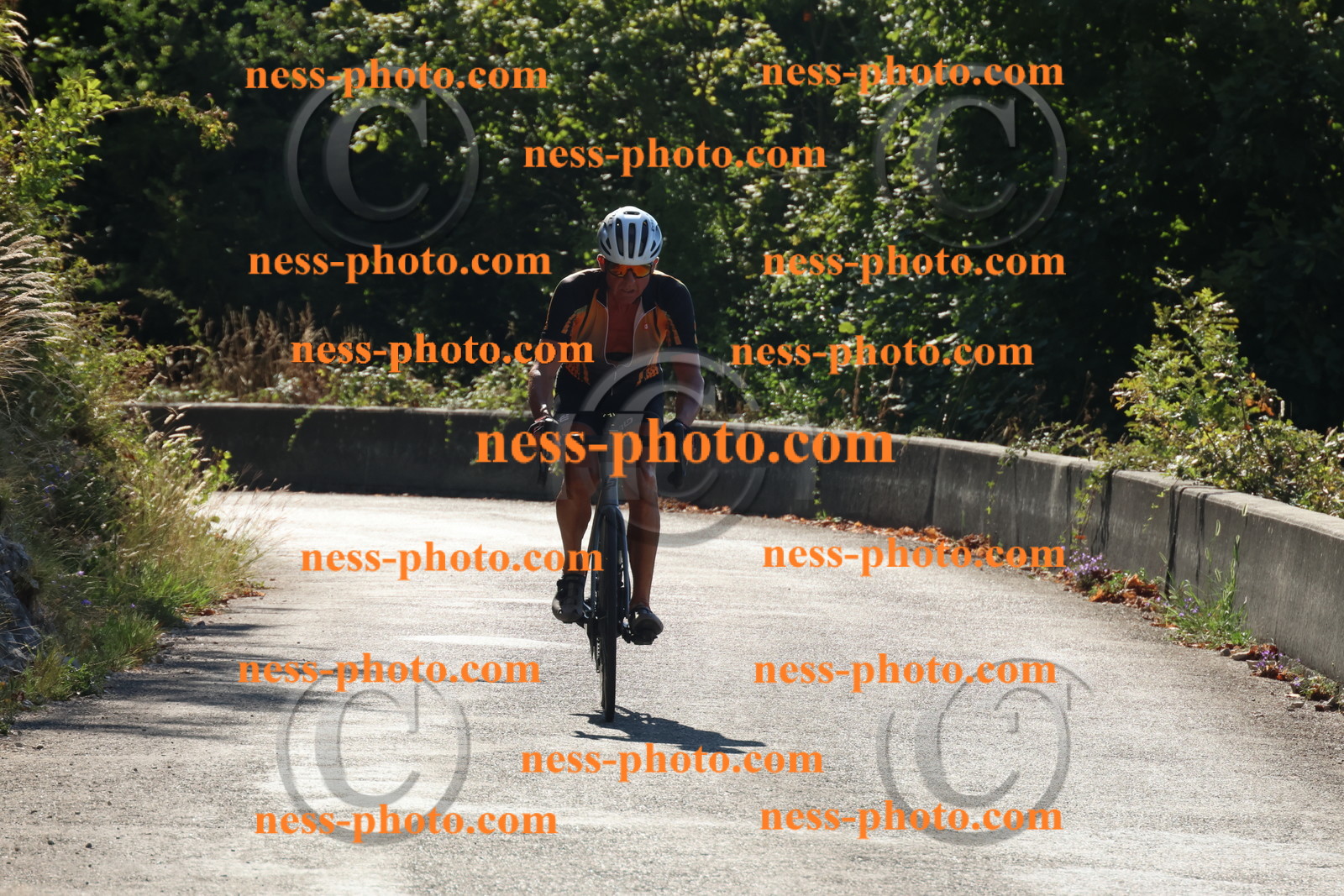 Col du Grand Colombier (22).JPG