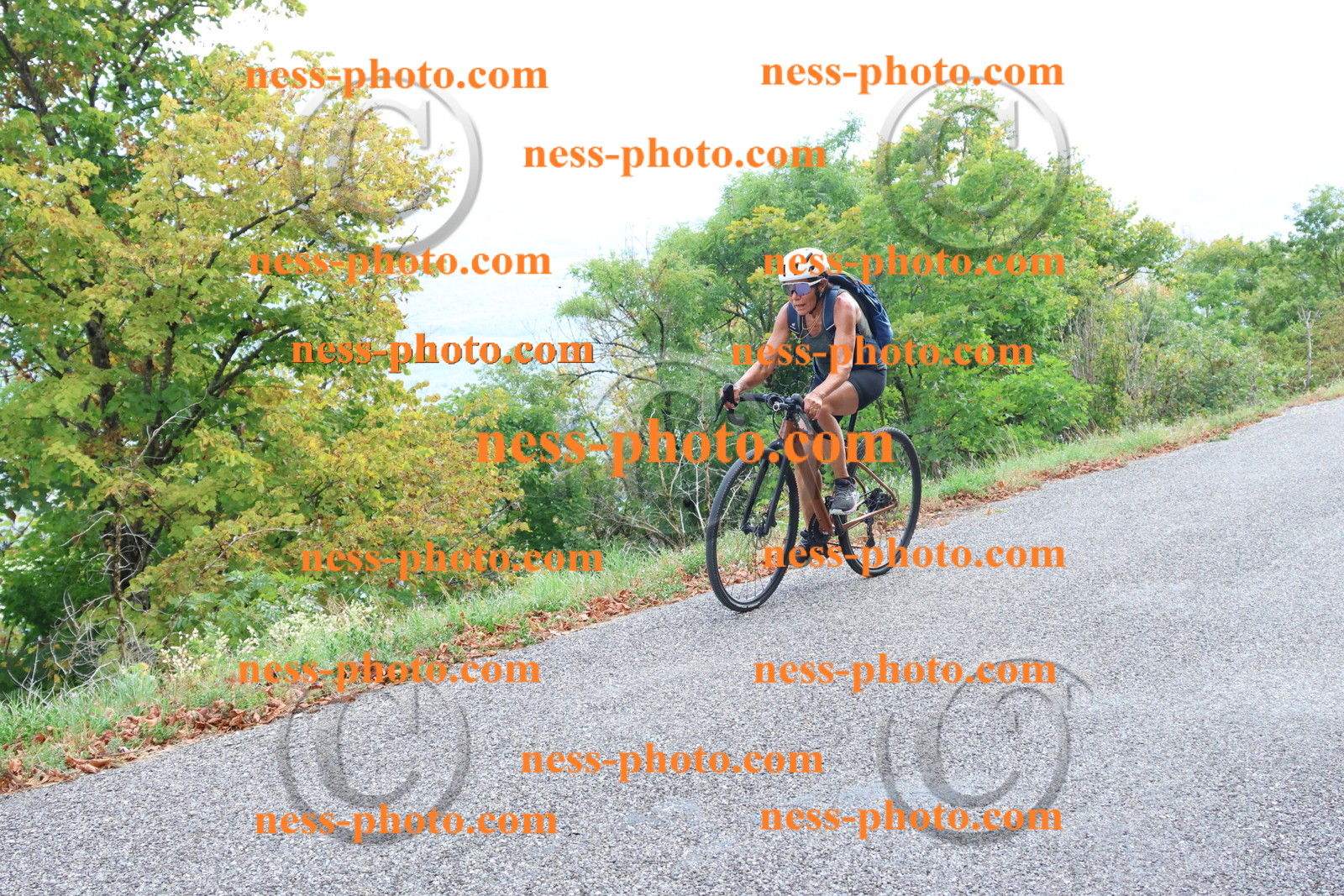 Col du Grand Colombier (730).JPG