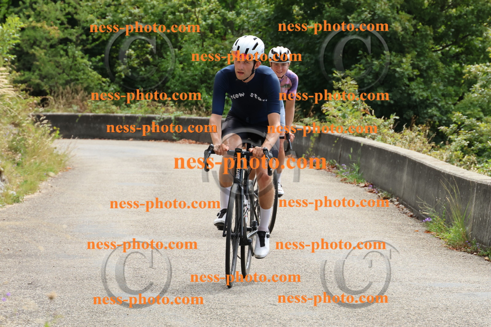 Col du Grand Colombier (250).JPG