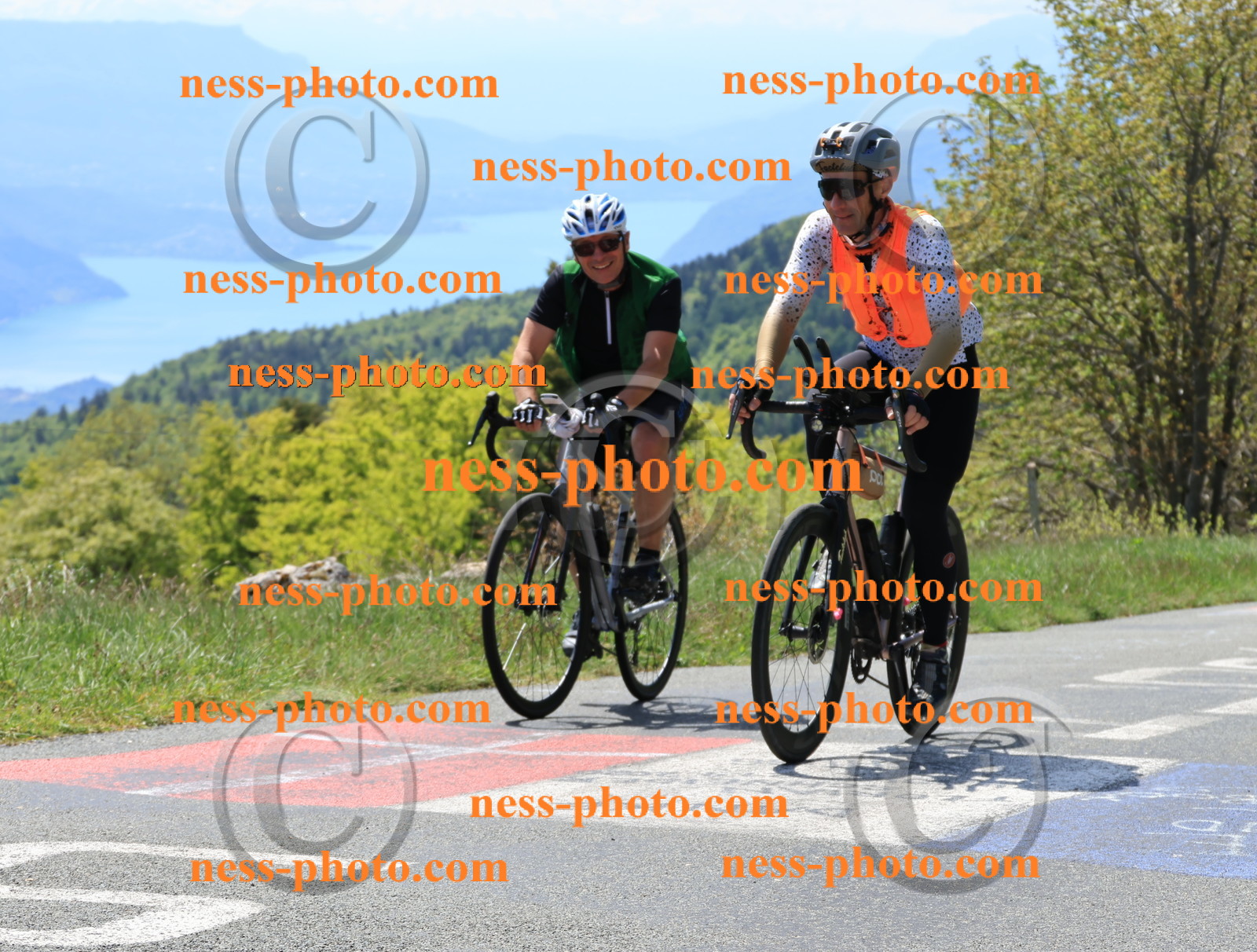 Col du Grand Colombier (141).JPG