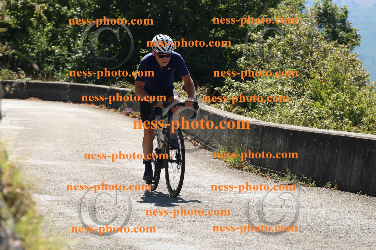 Col du Grand Colombier (65).JPG