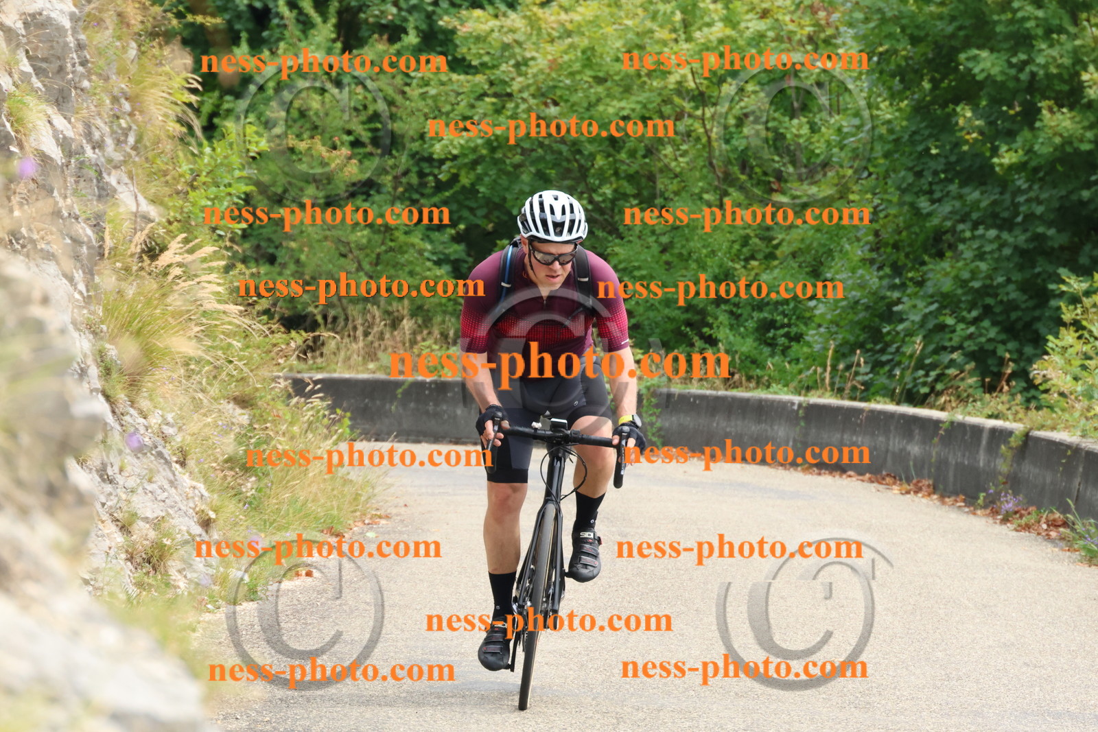 Col du Grand Colombier (313).JPG