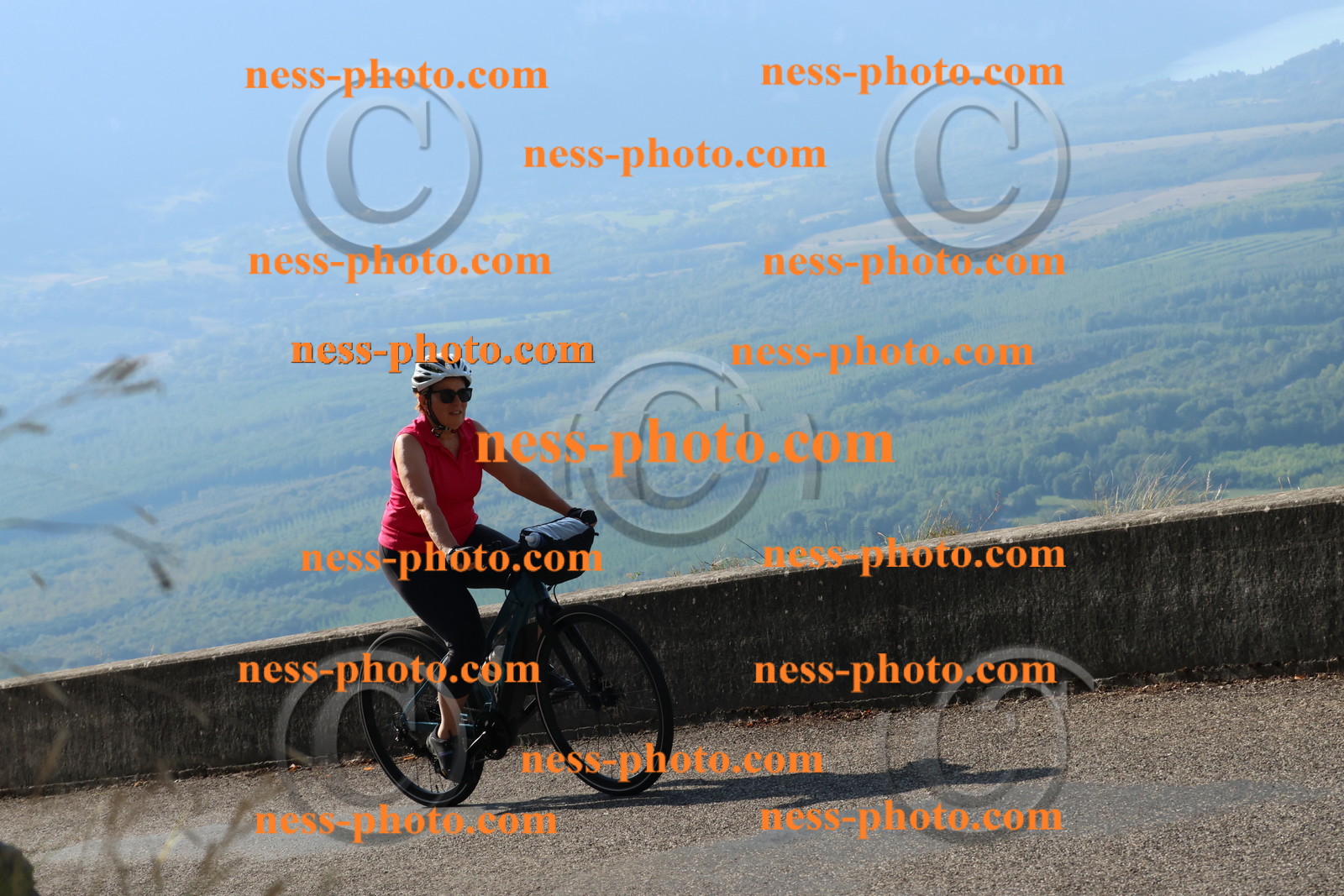 Col du Grand Colombier (1021).JPG