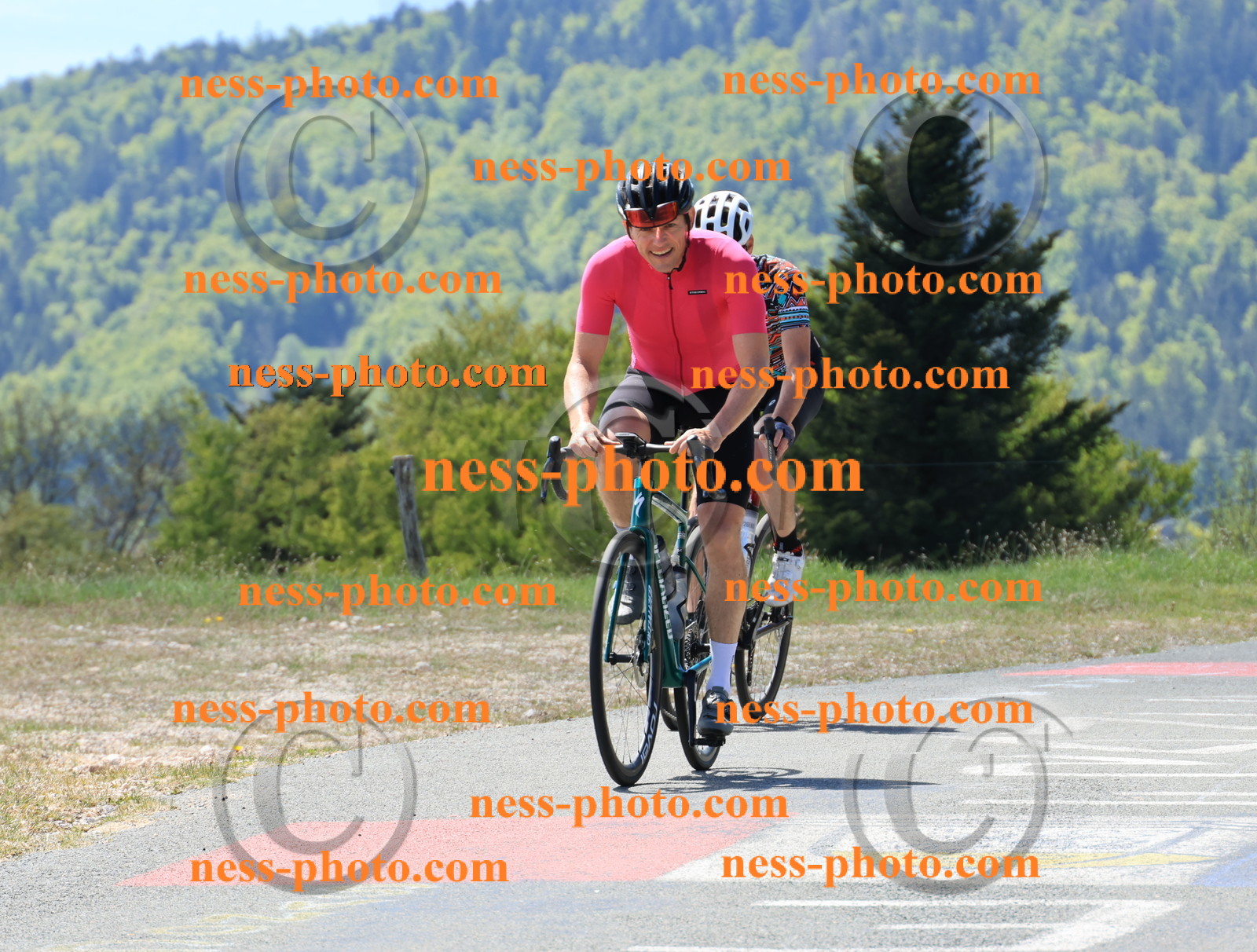 Col du Grand Colombier (80).JPG