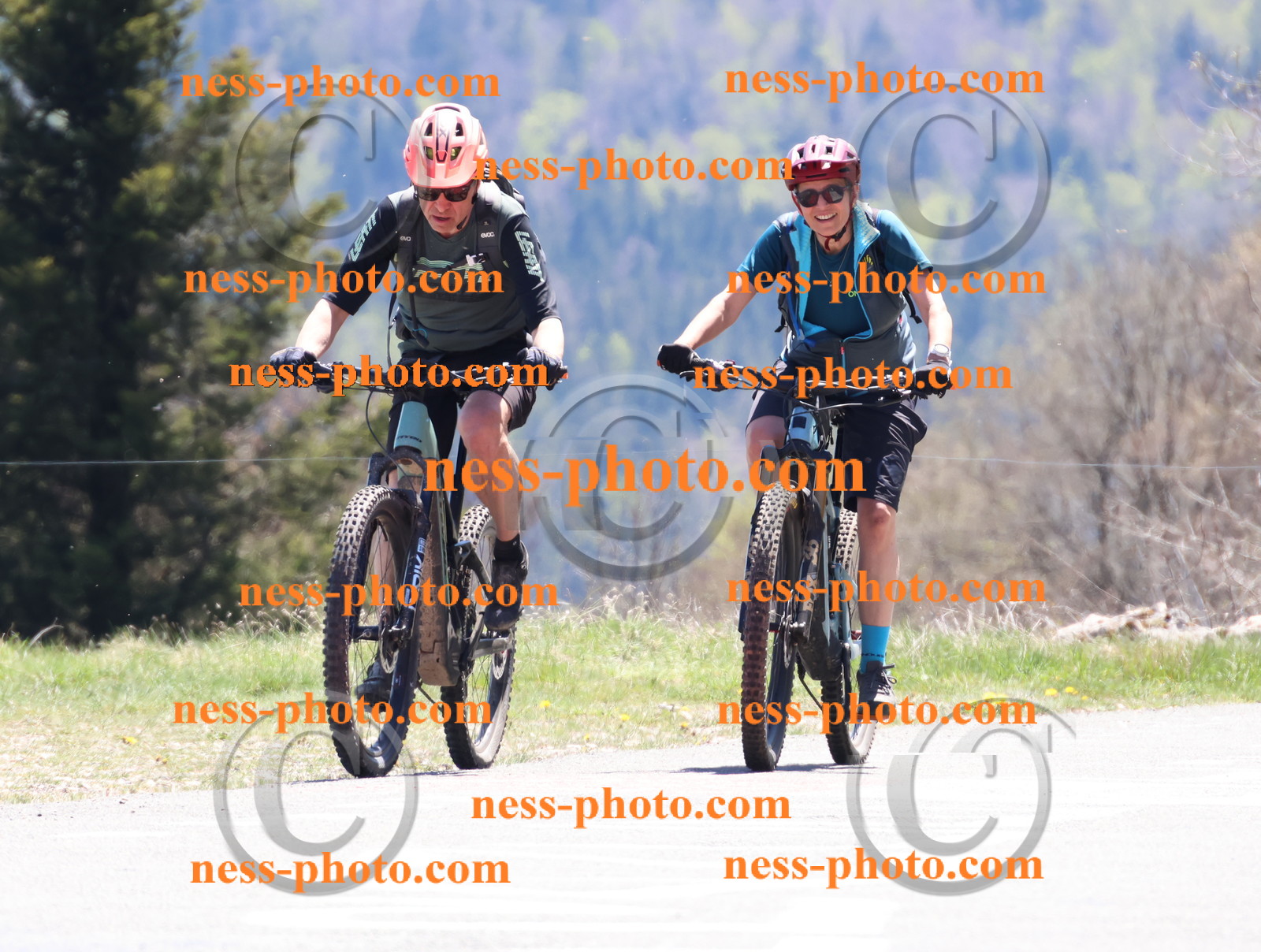 Col du Grand Colombier (733).JPG