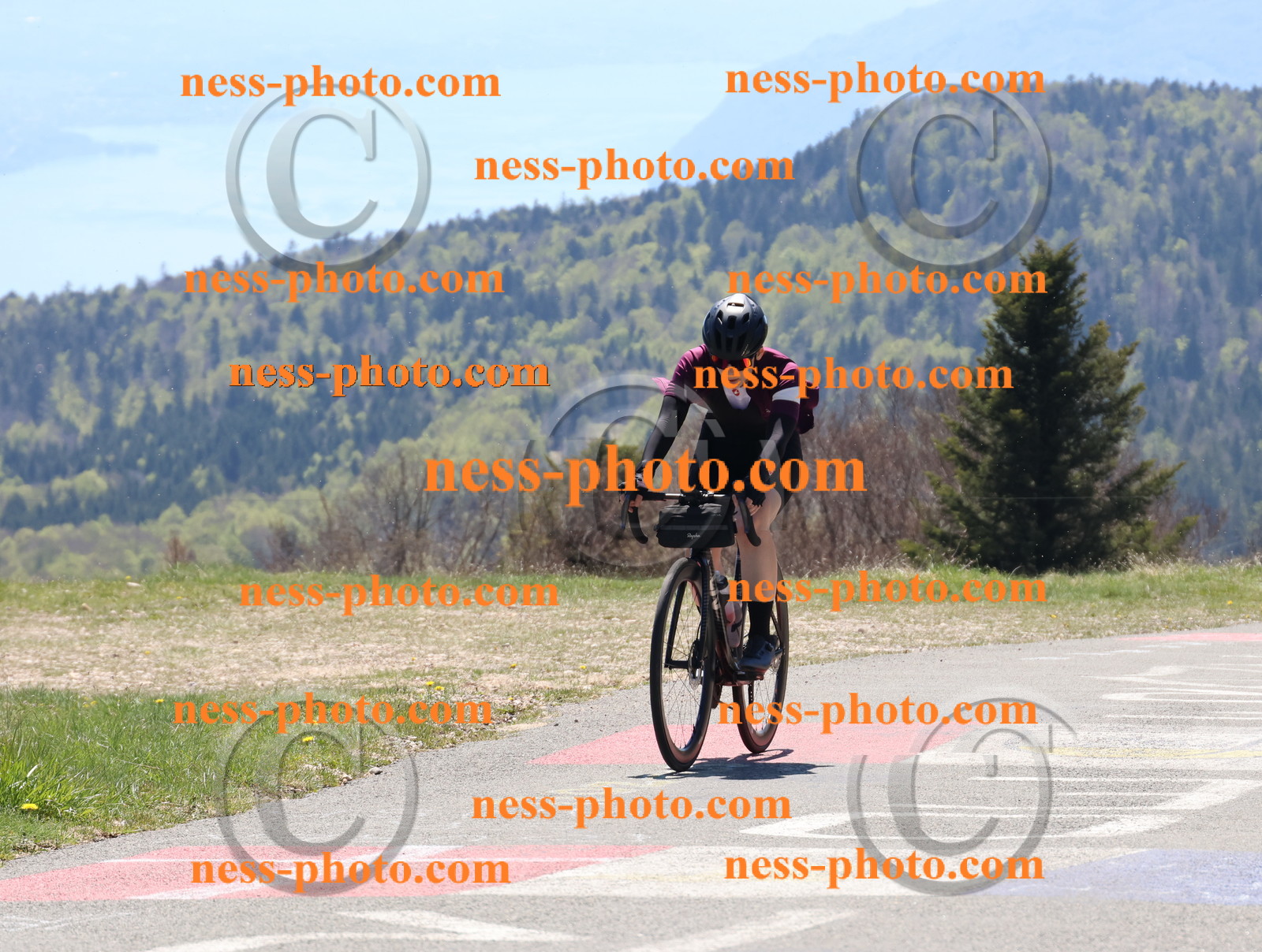 Col du Grand Colombier (458).JPG