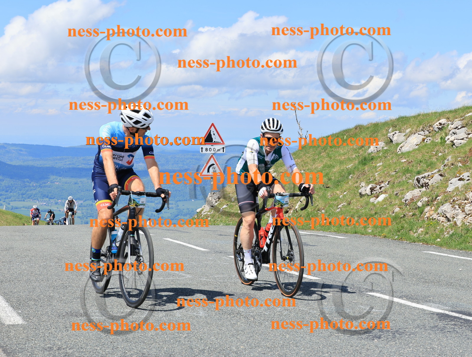 Col du Grand Colombier (2245).JPG