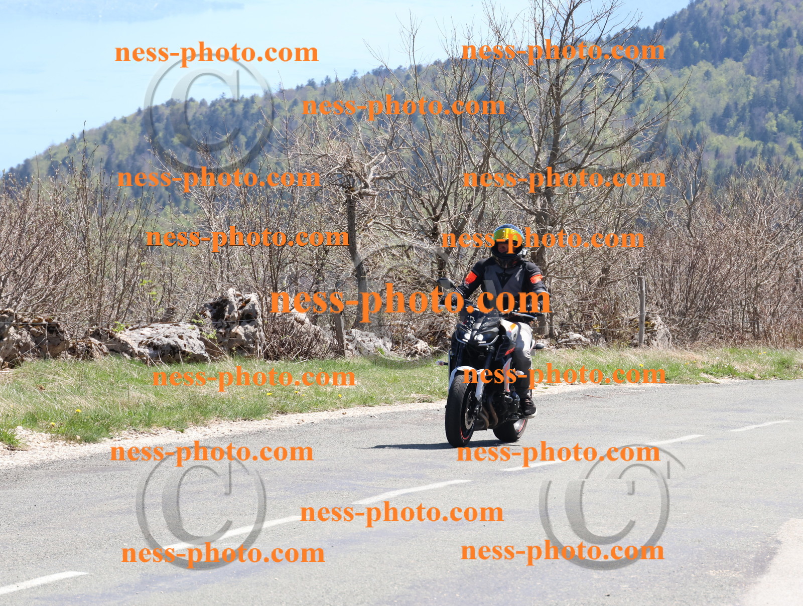 Col du Grand Colombier (190).JPG