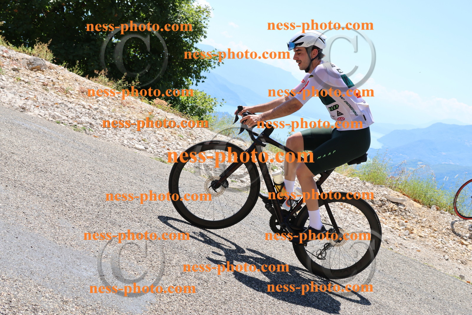 Col du Grand Colombier (2640).JPG