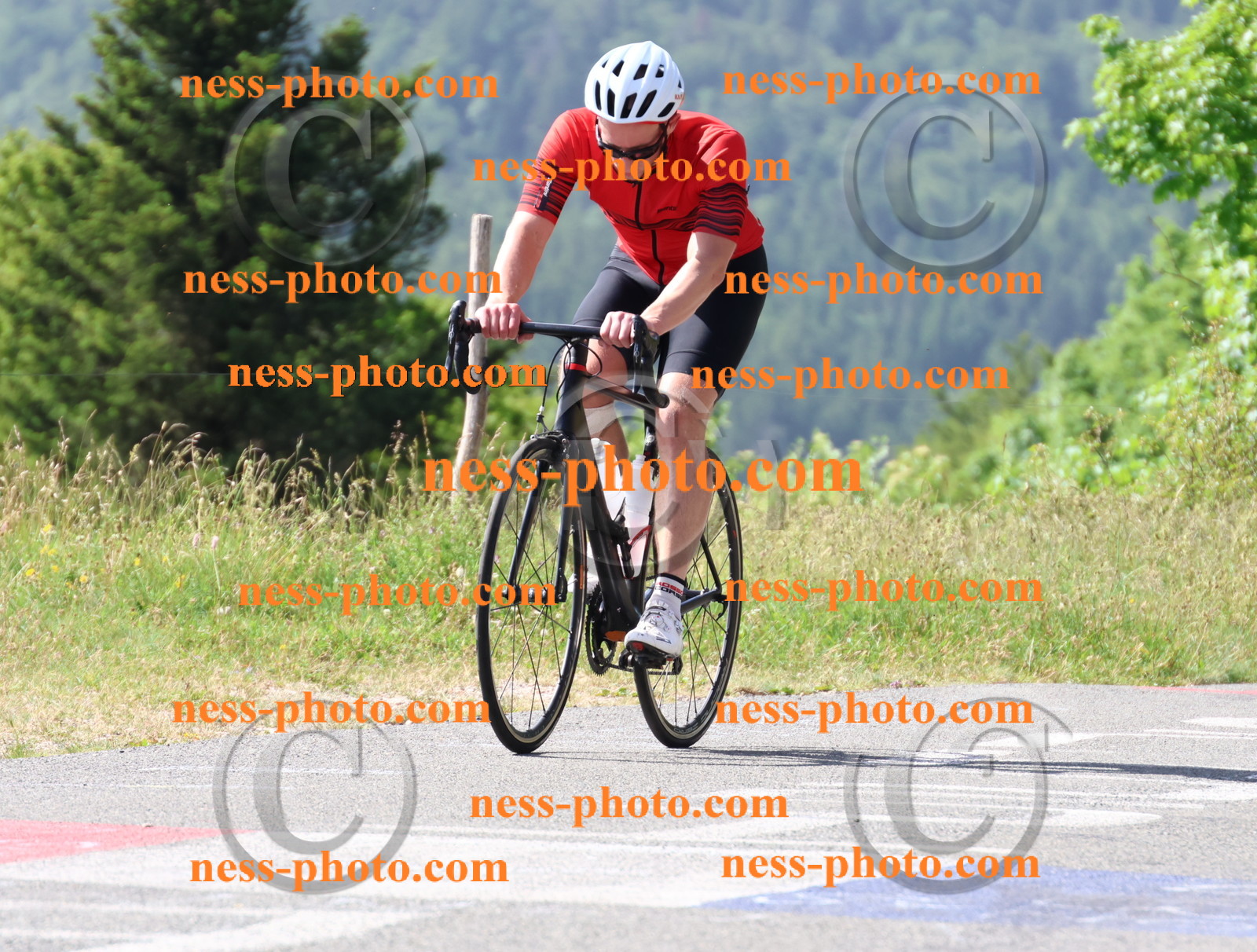 Col du grand Colombier (592).JPG