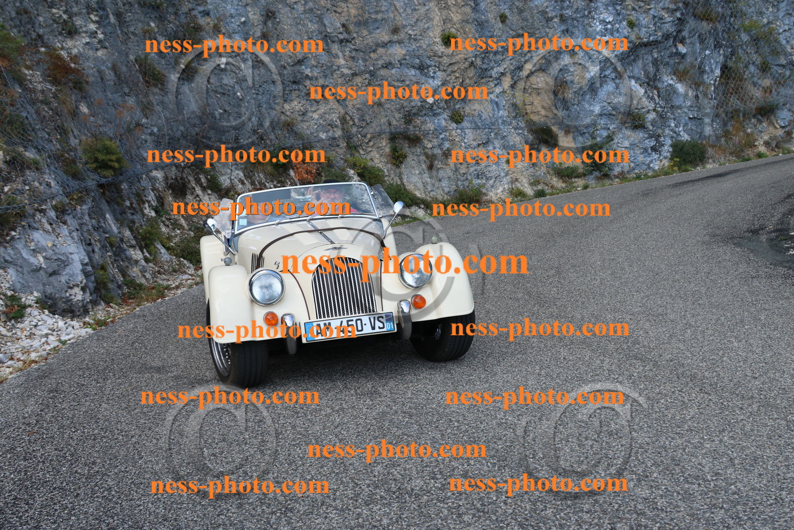 Col du Grand Colombier (39).JPG