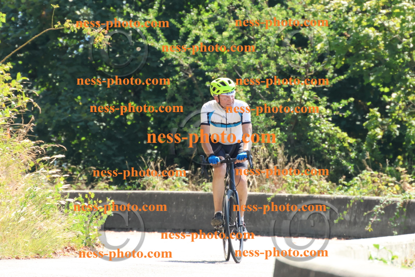 Col du Grand Colombier (243).JPG