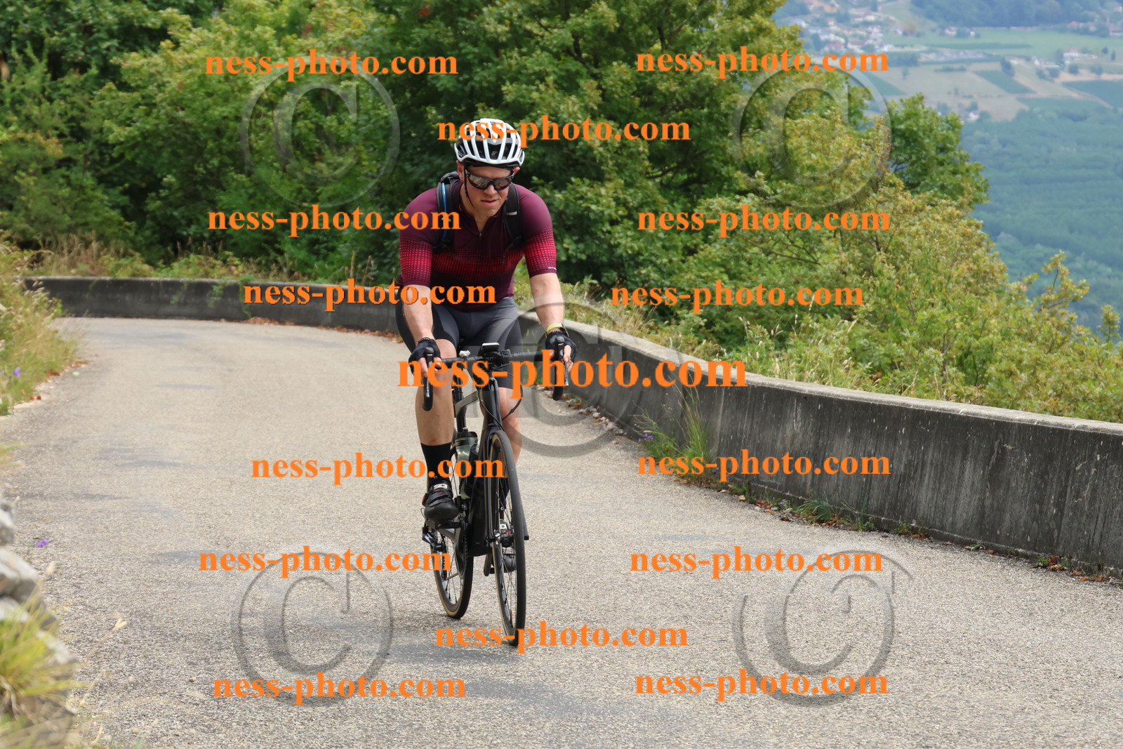 Col du Grand Colombier (315).JPG