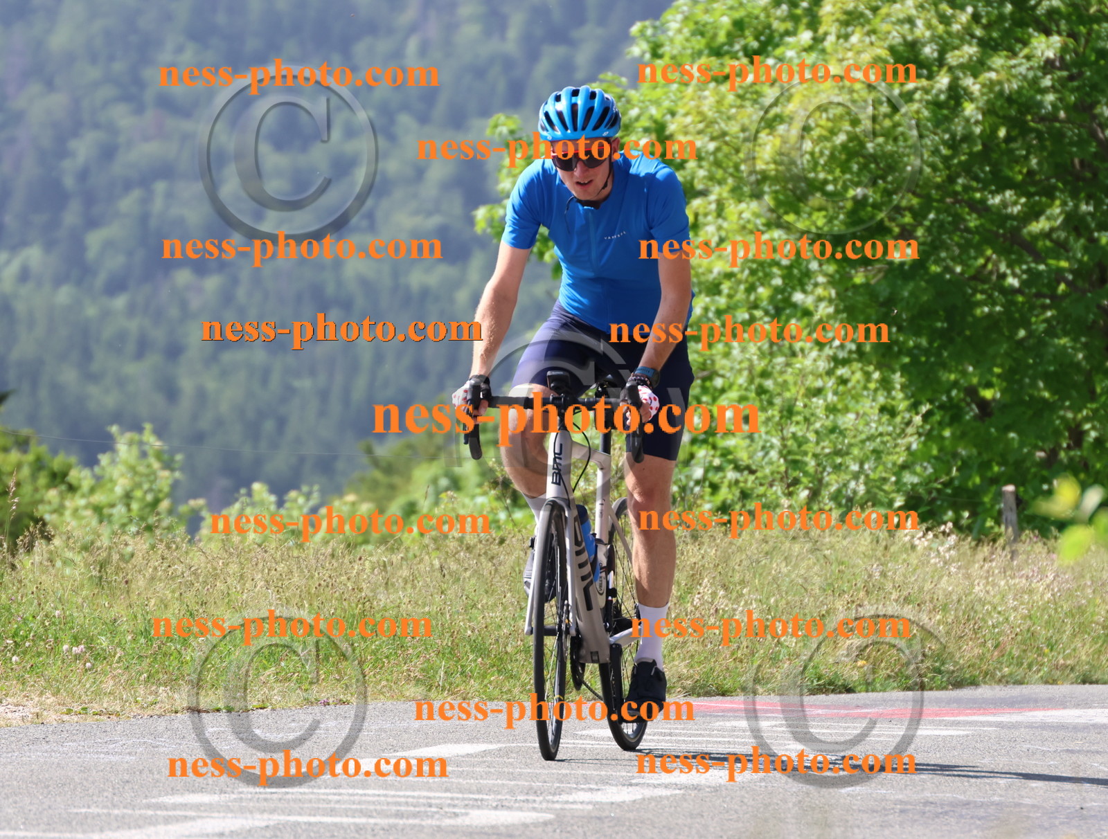 Col du grand Colombier (723).JPG