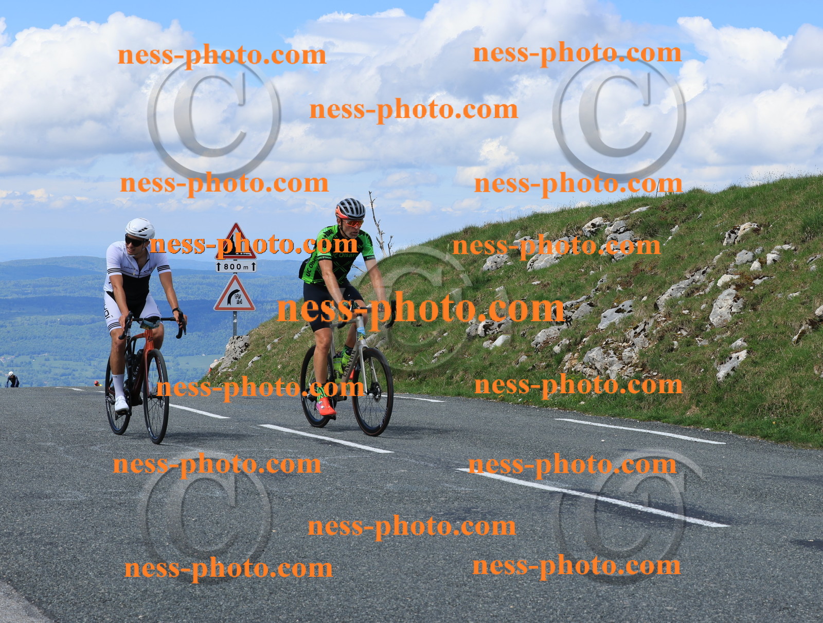 Col du Grand Colombier (2550).JPG