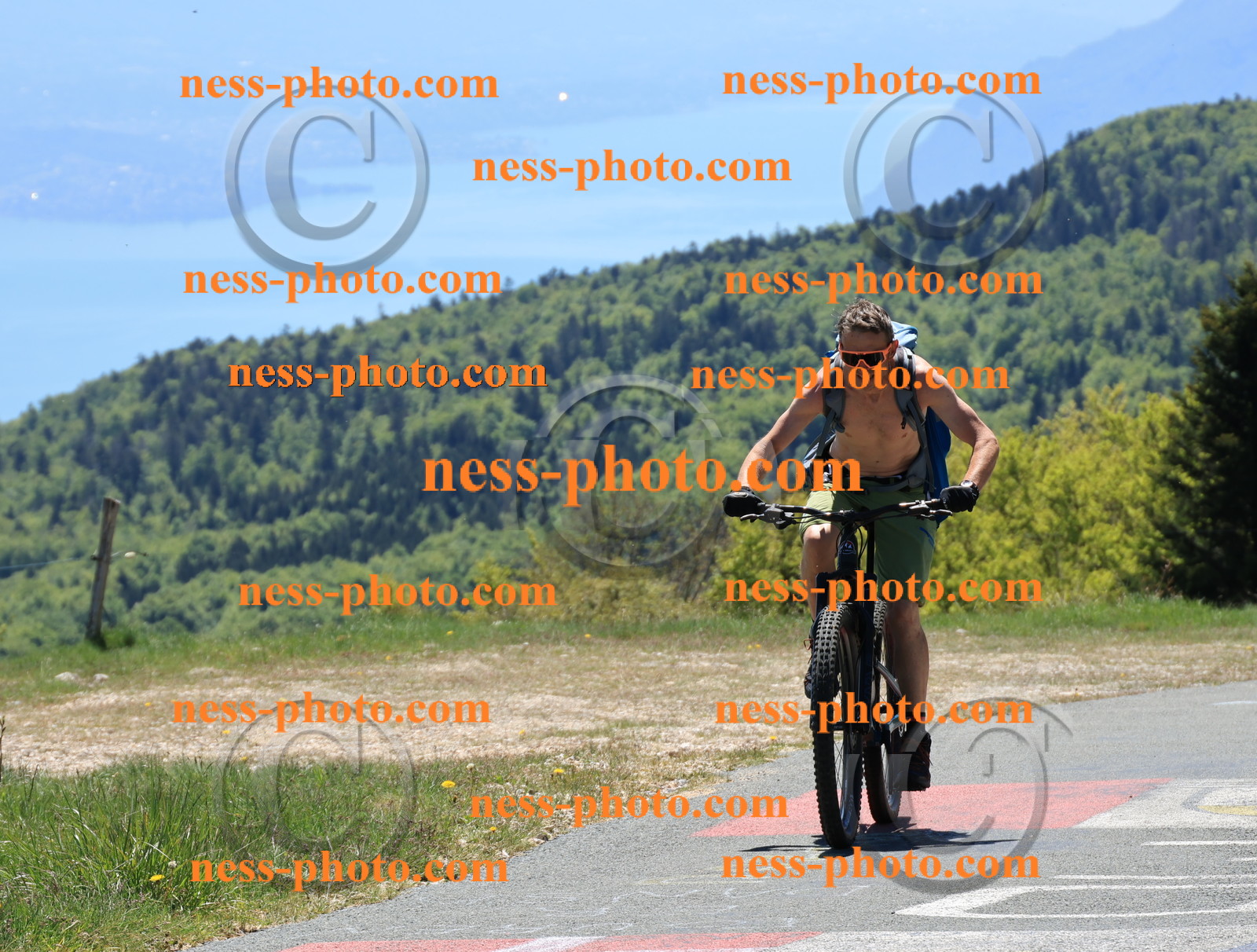 Col du Grand Colombier (290).JPG