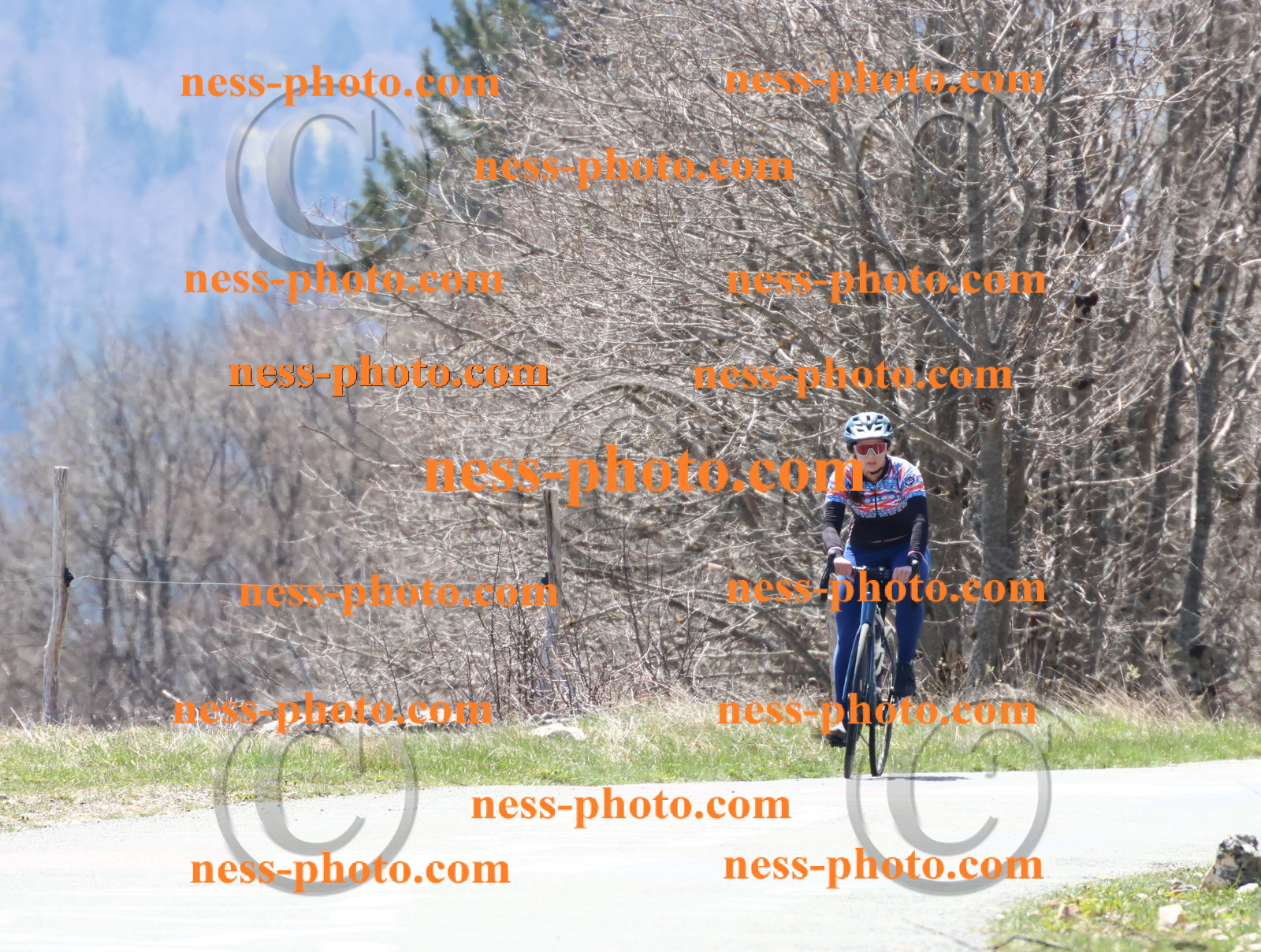 Col du Grand Colombier (235).JPG