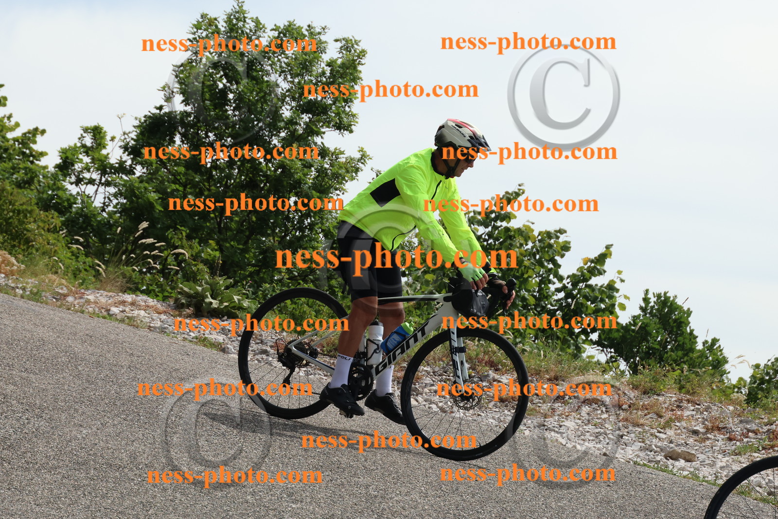 Col du Grand Colombier (138).JPG