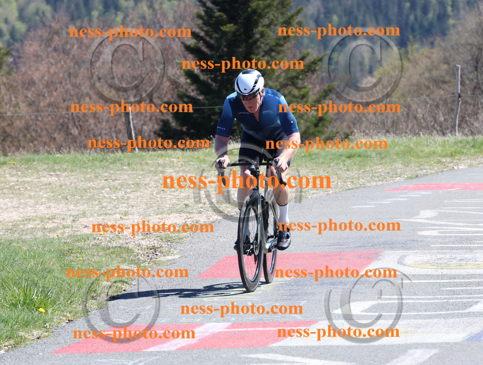 Col du Grand Colombier (978).JPG