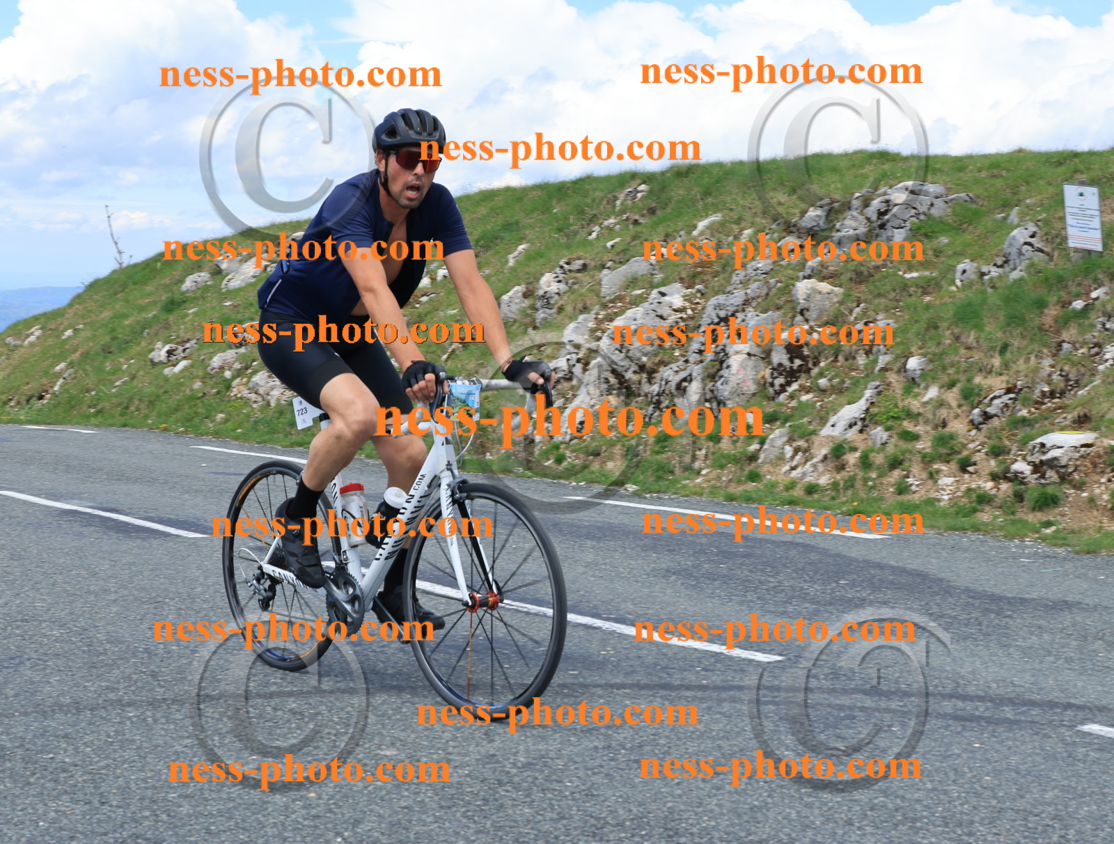 Col du Grand Colombier (2663).JPG