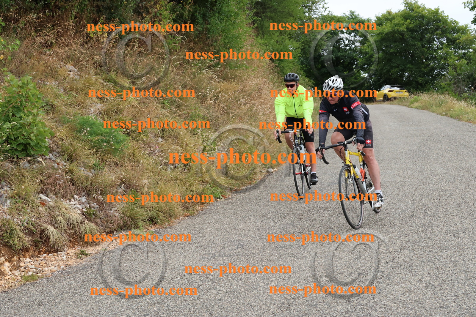 Col du Grand Colombier  (771).JPG