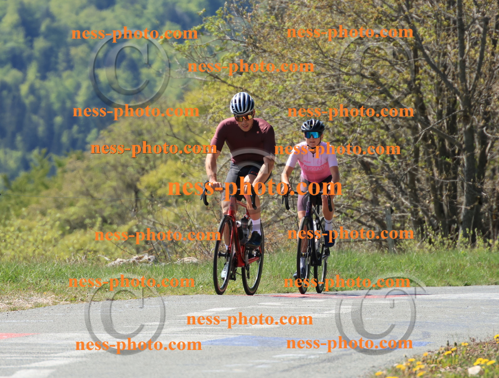 Col du Grand Colombier (40).JPG