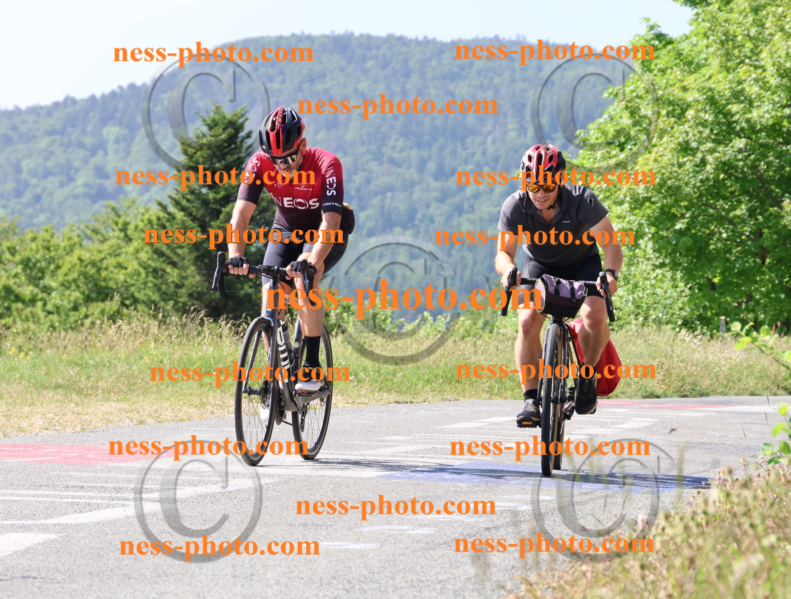 Col du grand Colombier (598).JPG