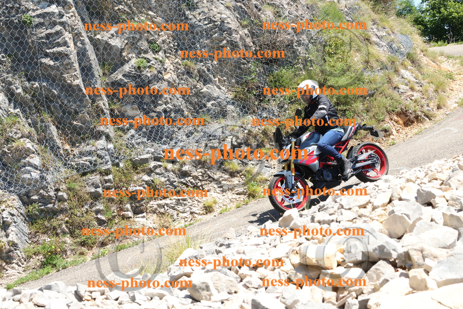 Col du Grand Colombier (318).JPG