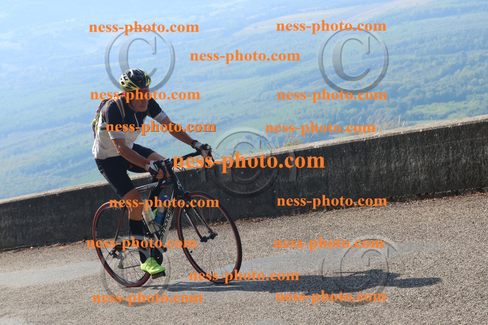 Col du Grand Colombier (1407).JPG