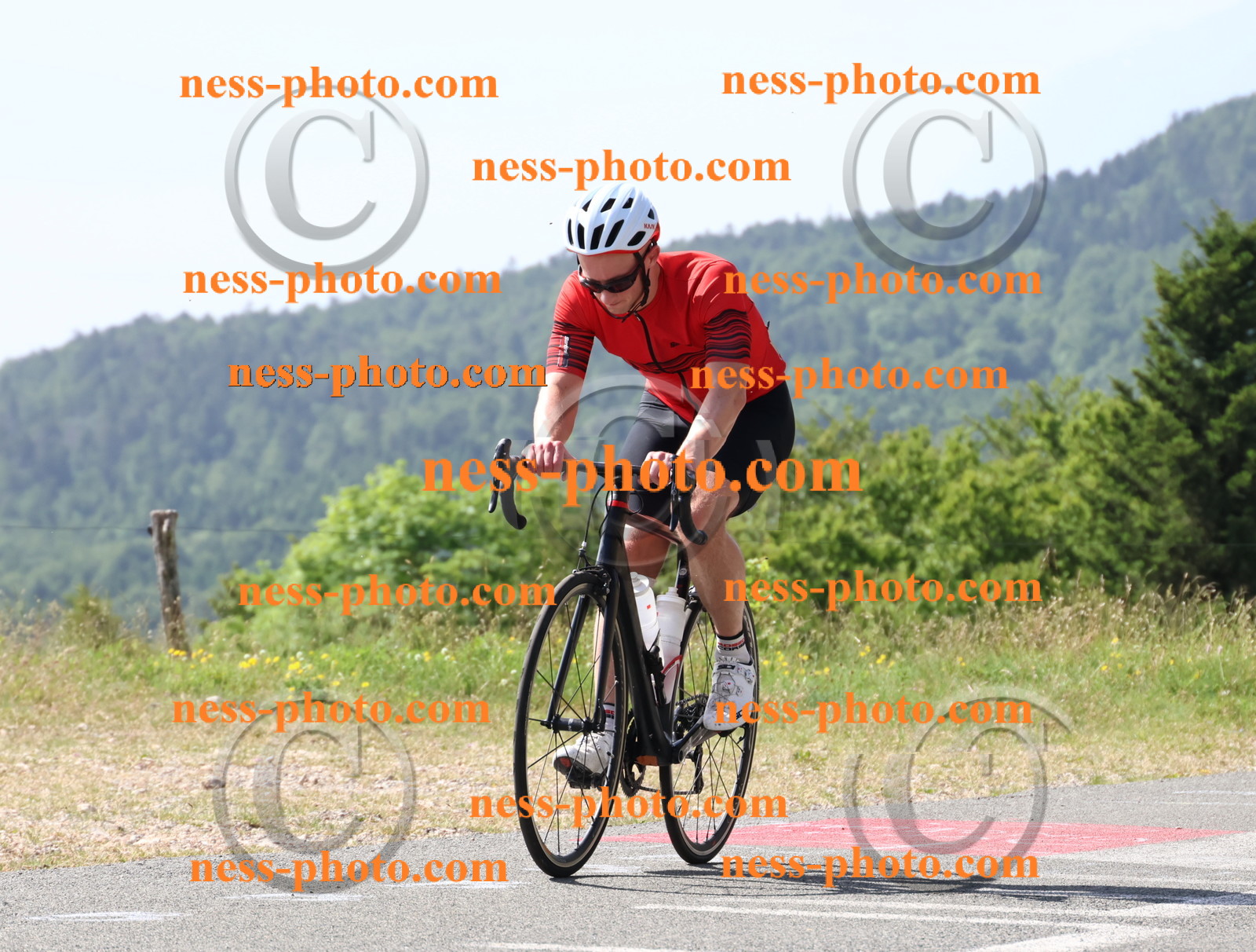 Col du grand Colombier (594).JPG