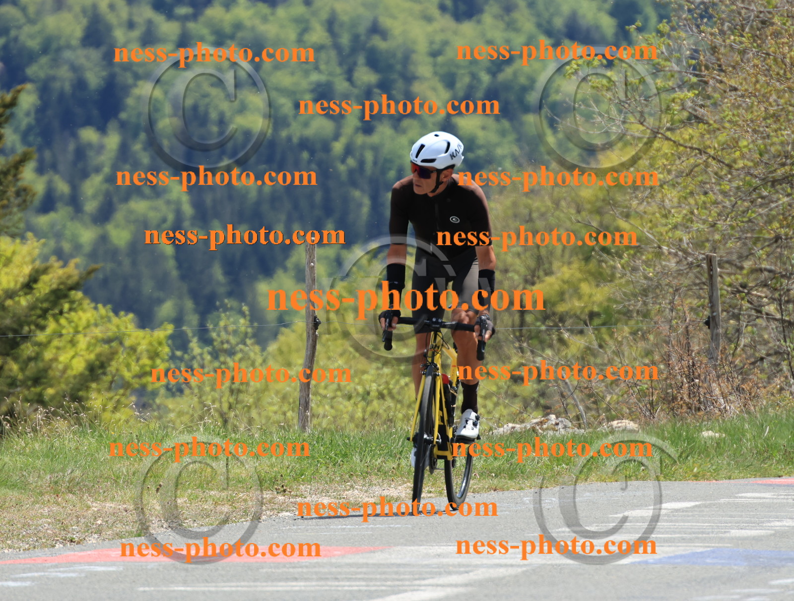 Col du Grand Colombier (501).JPG