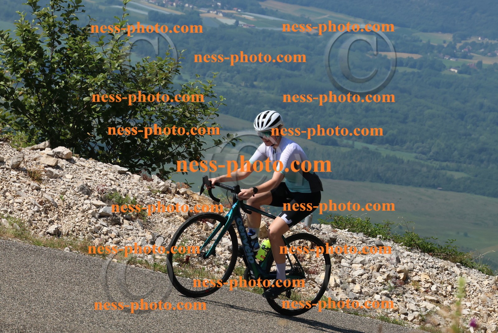 Col du Grand Colombier (305).JPG