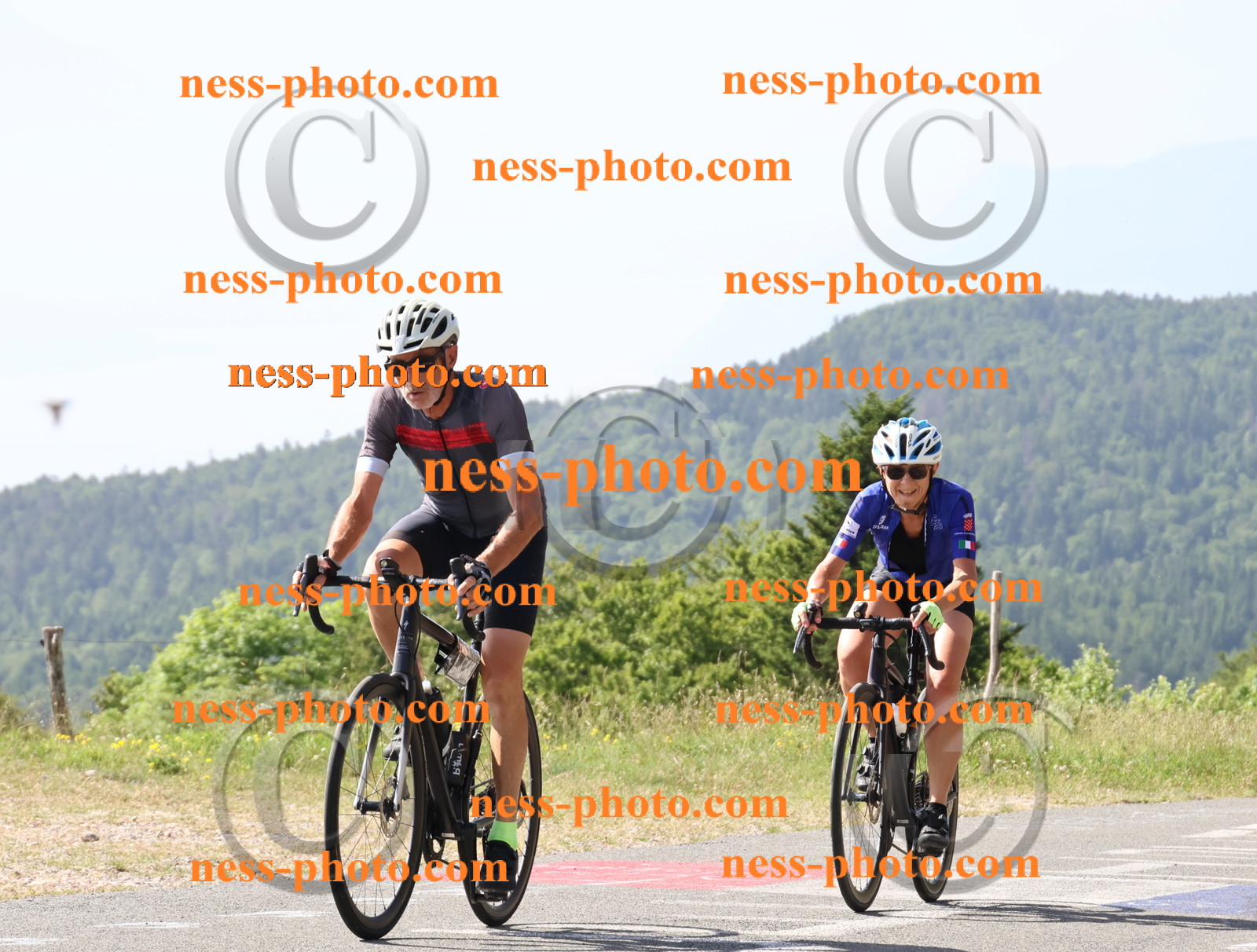 Col du grand Colombier (584).JPG